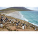 Travel SIM Cards for Falkland Islands